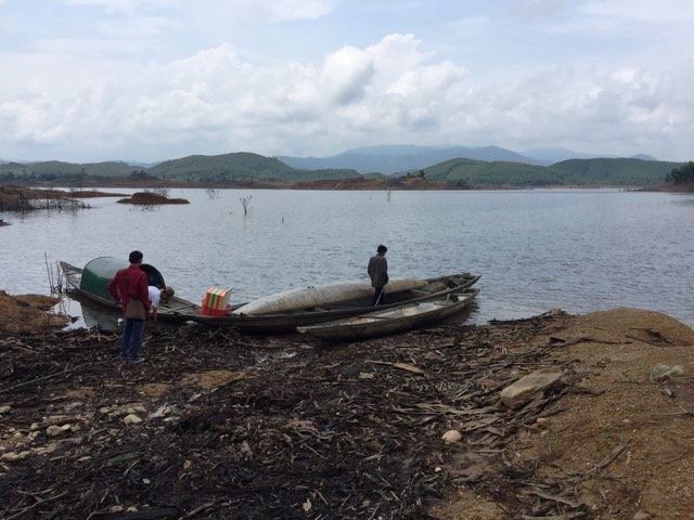 Chuyen lao nong trung dam trong mo vang khe Rui Rui-Hinh-2