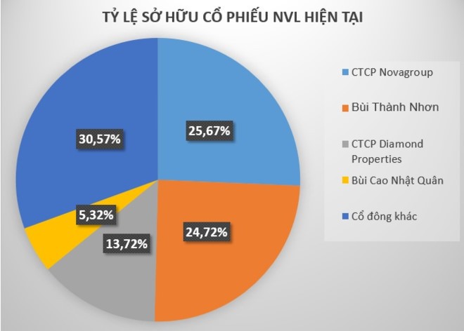 Dai gia Novaland phat len nho dau?