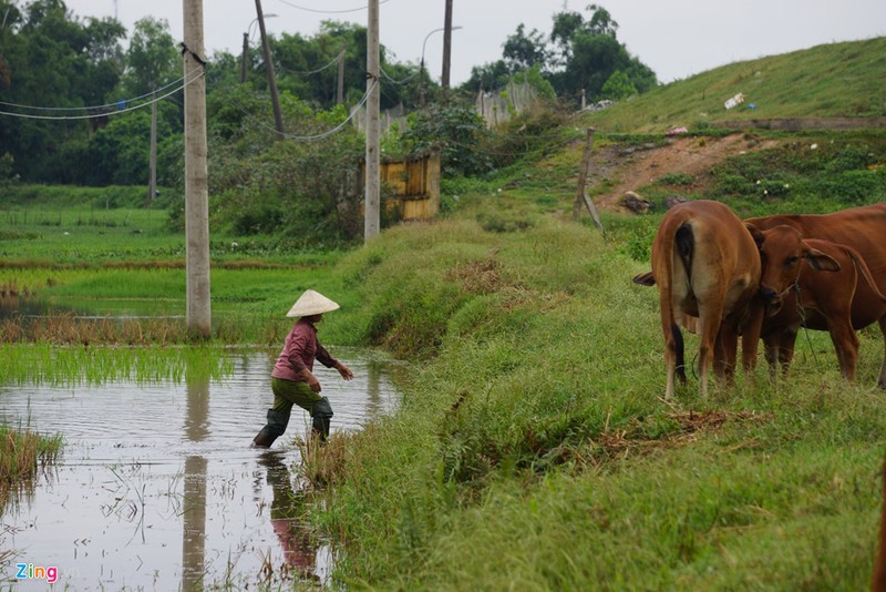 Anh: Bai rac rong hon 20.000m2 &quot;buc tu&quot; pho bien Sam Son-Hinh-10