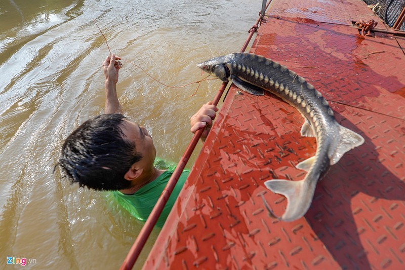 Thuy dien Hoa Binh xa lu, hang chuc tan ca tam chet sat ngay thu hoach-Hinh-15