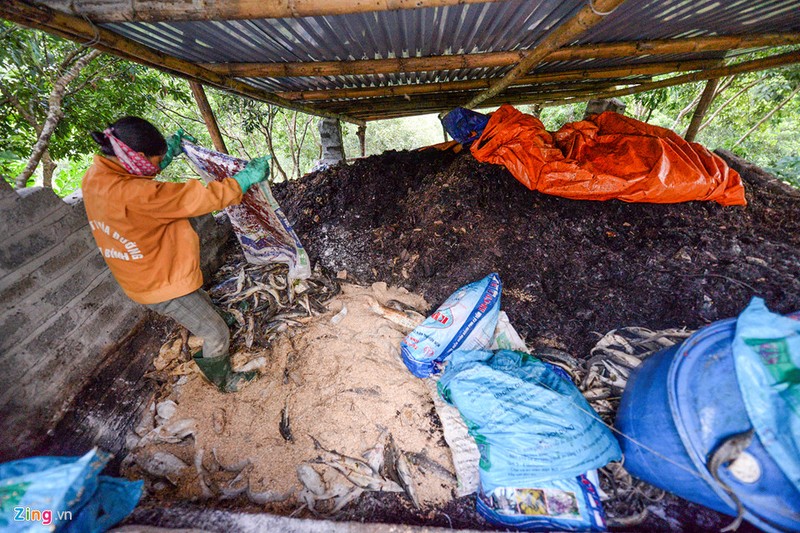 Thuy dien Hoa Binh xa lu, hang chuc tan ca tam chet sat ngay thu hoach-Hinh-17