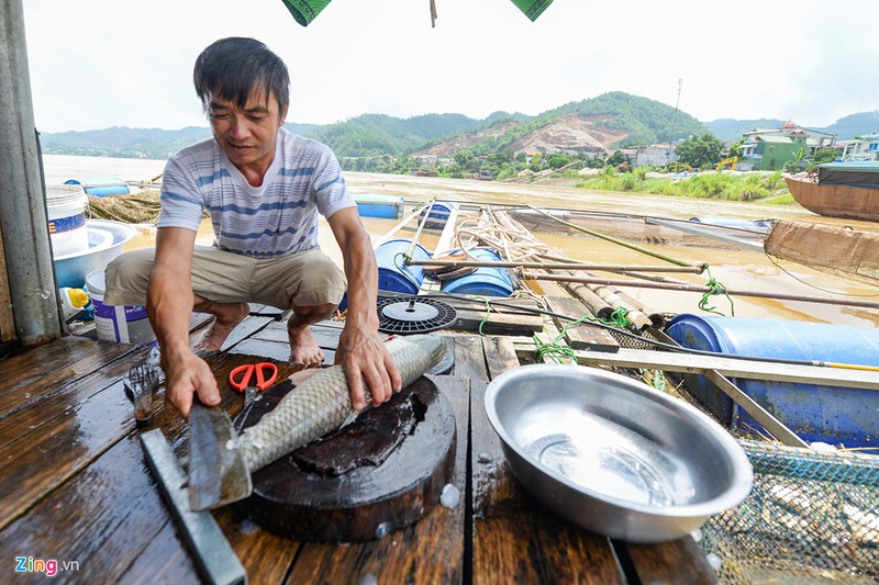 Thuy dien Hoa Binh xa lu, hang chuc tan ca tam chet sat ngay thu hoach-Hinh-7