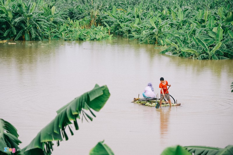 Chum anh: Cuoc song o oc dao Ha Noi nhung ngay nuoc len-Hinh-2