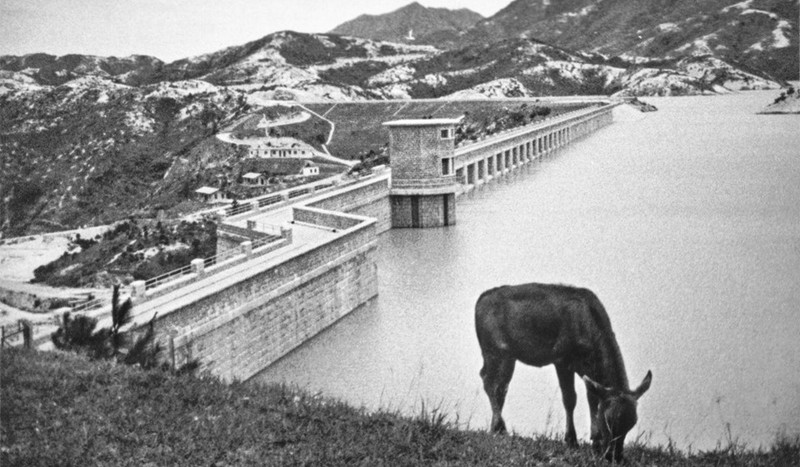 Anh hiem ve Hong Kong thap nien 1950 qua ong kinh nha tai phiet-Hinh-7