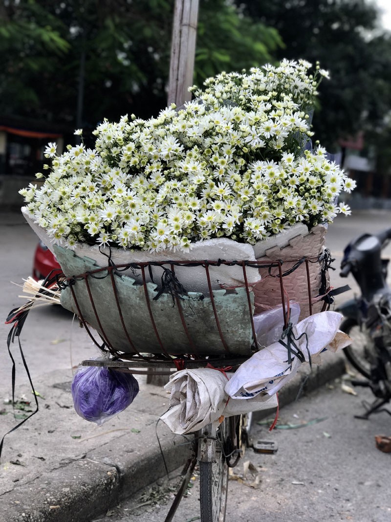 Mua cuc hoa mi: Chi em phat cuong, dan Nhat Tan mung tham-Hinh-10