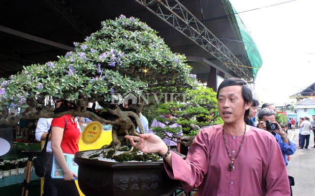 Ngam loat cay bonsai vo gia cua danh hai Hoai Linh-Hinh-2