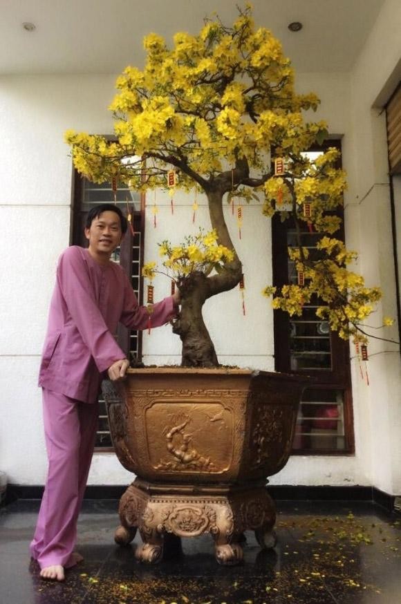 Ngam loat cay bonsai vo gia cua danh hai Hoai Linh-Hinh-6