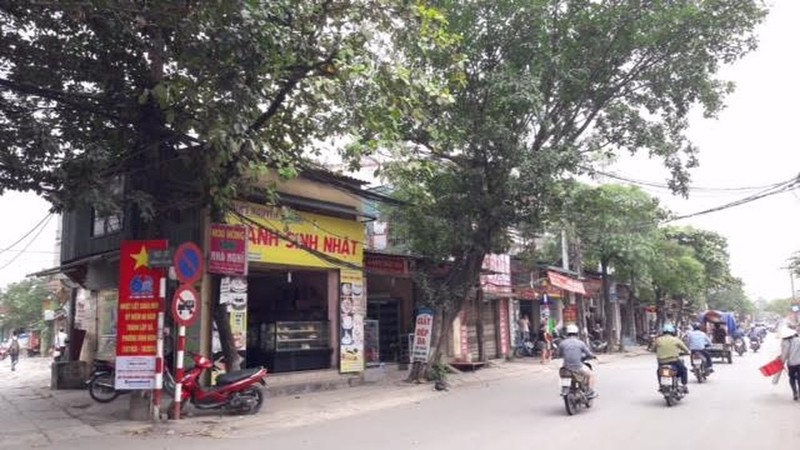 Chi tiet 3 tuyen duong “dat vang” moi nhat o Ha Noi-Hinh-4