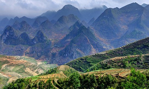 Vi sao vua Quang Trung khong thay doi duoc long mach?