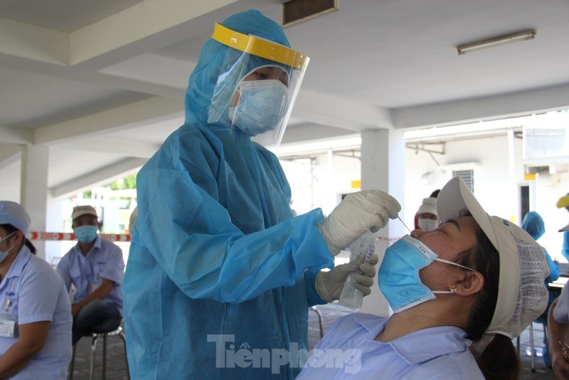 Da Nang noi gi ve viec mua kit xet nghiem COVID-19 cua cong ty Viet A?