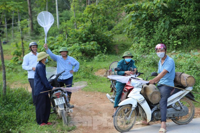 Nguoc ngan rong ruoi san ong rung-Hinh-13