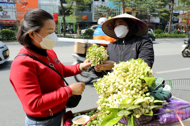 Mua hoa buoi ngat huong o Ha Noi-Hinh-10