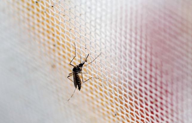 Cuba va Slovakia xac nhan ca nhiem Zika dau tien