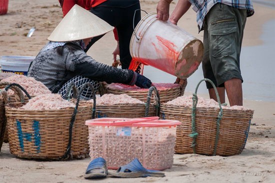 Khong ket luan duoc loai pham mau nhuom ruoc-Hinh-2