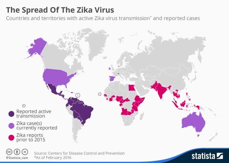 Nhung dieu can biet ve loai muoi truyen virus Zika-Hinh-2