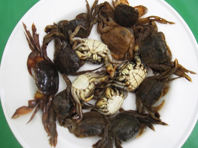 Cách chế biến rạm thành 4 món ngon vạn người mê - Hình 4 Cach che bien ram thanh 4 mon ngon van nguoi me-Hinh-4