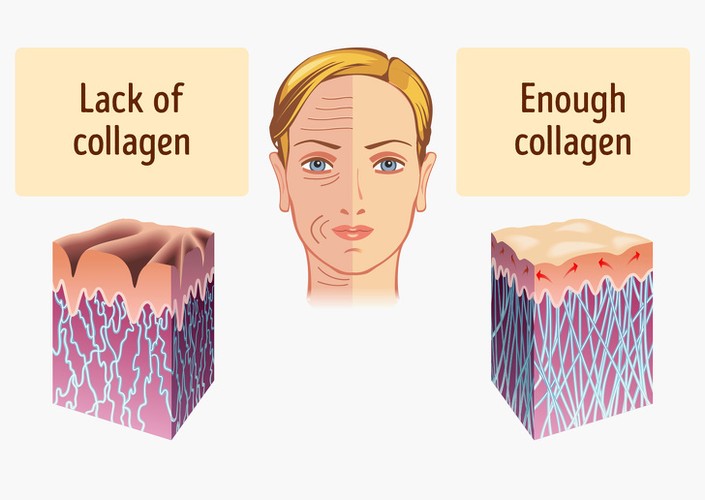 10 thực phẩm giàu collagen ăn thường xuyên giúp da chậm lão hóa 10 thuc pham giau collagen an thuong xuyen giup da cham lao hoa