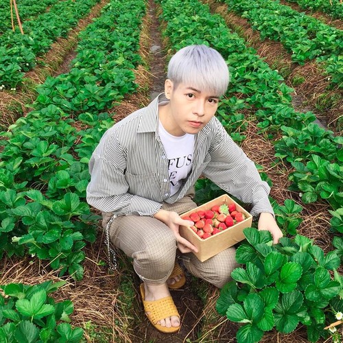 Bất ngờ tóc bạch kim của Văn Toàn khiến nhiều sao nam mê mẩn - Hình 10 Bat ngo toc bach kim cua Van Toan khien nhieu sao nam me man-Hinh-10