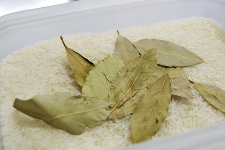 7 cách chắc chắn sẽ đuổi sạch côn trùng khỏi nhà bạn - Hình 7 7 cach chac chan se duoi sach con trung khoi nha ban-Hinh-7