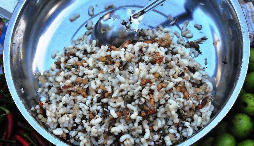 Món ăn kinh dị của Thái Lan, thực khách vừa ăn vừa run - Hình 3 Mon an kinh di cua Thai Lan, thuc khach vua an vua run-Hinh-3