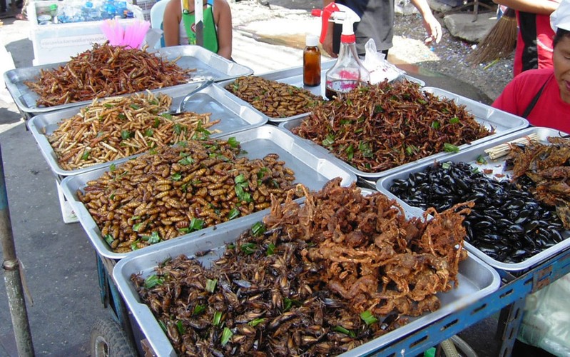 Món ăn kinh dị của Thái Lan, thực khách vừa ăn vừa run - Hình 9 Mon an kinh di cua Thai Lan, thuc khach vua an vua run-Hinh-9