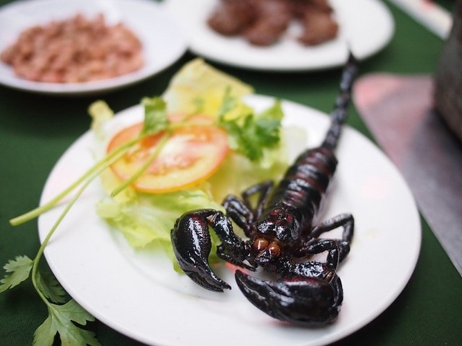 Khám phá món bò cạp Bảy Núi vừa ngon vừa sợ ở An Giang - Hình 10 Kham pha mon bo cap Bay Nui vua ngon vua so o An Giang-Hinh-10