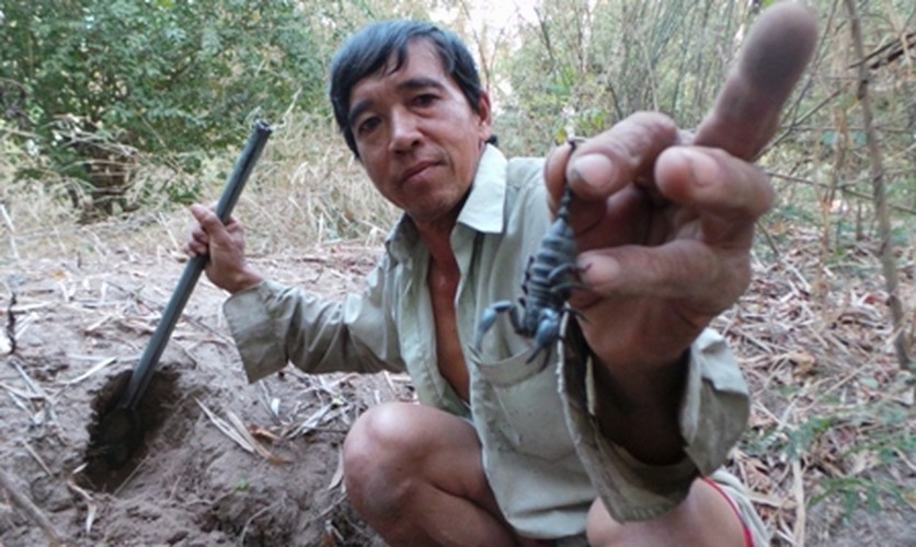 Khám phá món bò cạp Bảy Núi vừa ngon vừa sợ ở An Giang - Hình 4 Kham pha mon bo cap Bay Nui vua ngon vua so o An Giang-Hinh-4