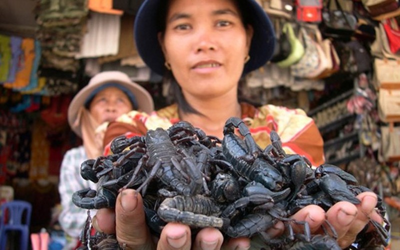 Khám phá món bò cạp Bảy Núi vừa ngon vừa sợ ở An Giang - Hình 9 Kham pha mon bo cap Bay Nui vua ngon vua so o An Giang-Hinh-9