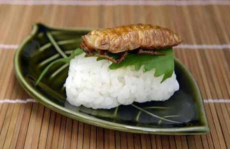 Kinh dị với món ăn từ gián - đặc sản của Trung Quốc - Hình 7 Kinh di voi mon an tu gian - dac san cua Trung Quoc-Hinh-7