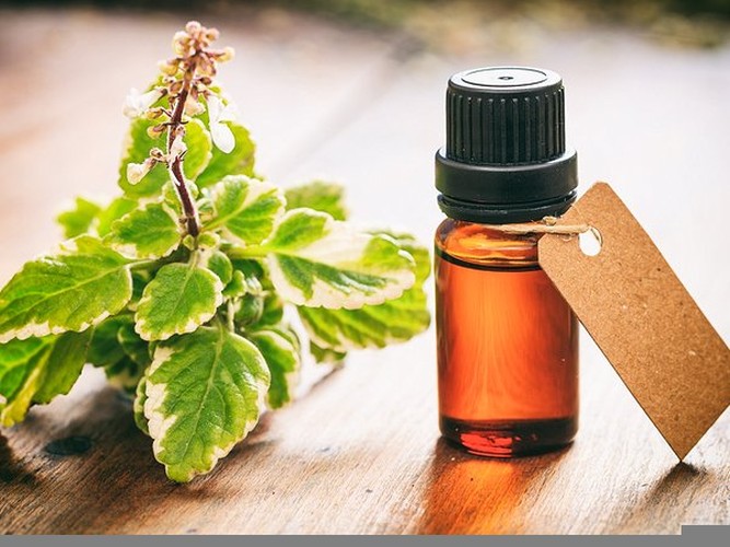 10 loại tinh dầu được xem là thần dược giảm đau cho bệnh nhân gout - Hình 2 10 loai tinh dau duoc xem la than duoc giam dau cho benh nhan gout-Hinh-2