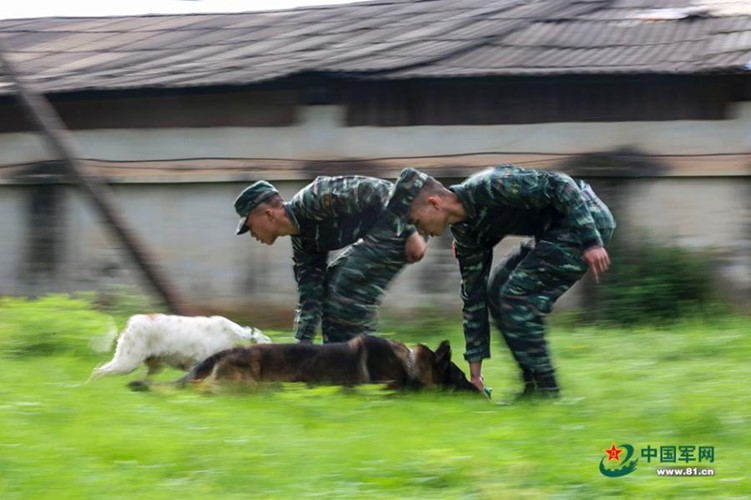 Kham pha cuc bat ngo ve cho nghiep vu Trung Quoc-Hinh-3