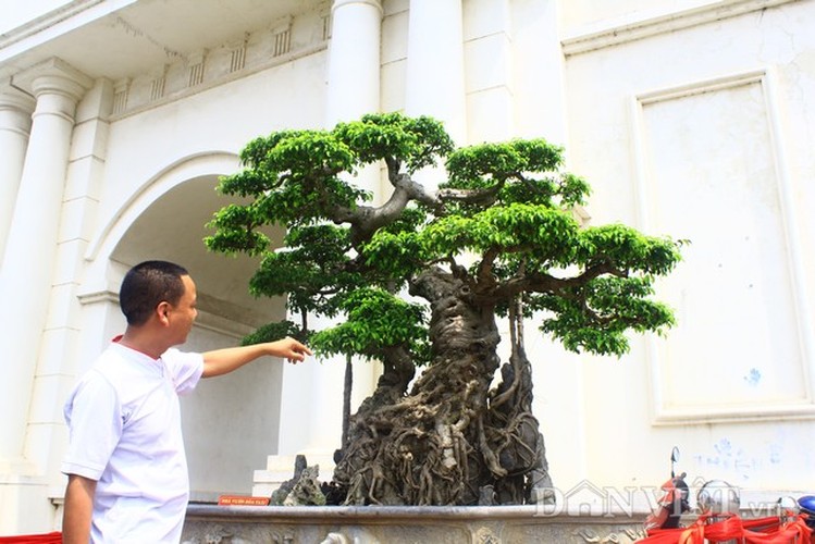 Sieu cay dang â€œdoc long kim cuongâ€ dep ngay ngat gia trieu do-Hinh-2