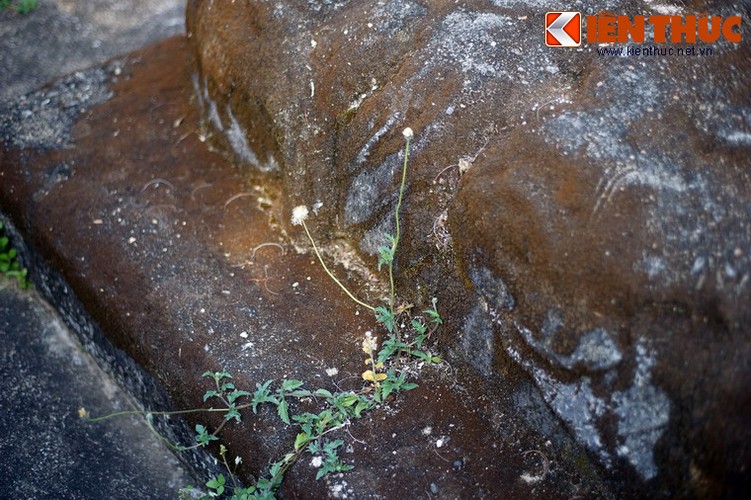 Kham pha lang mo 400 nam cua nguoi mo dat Phu Yen-Hinh-16