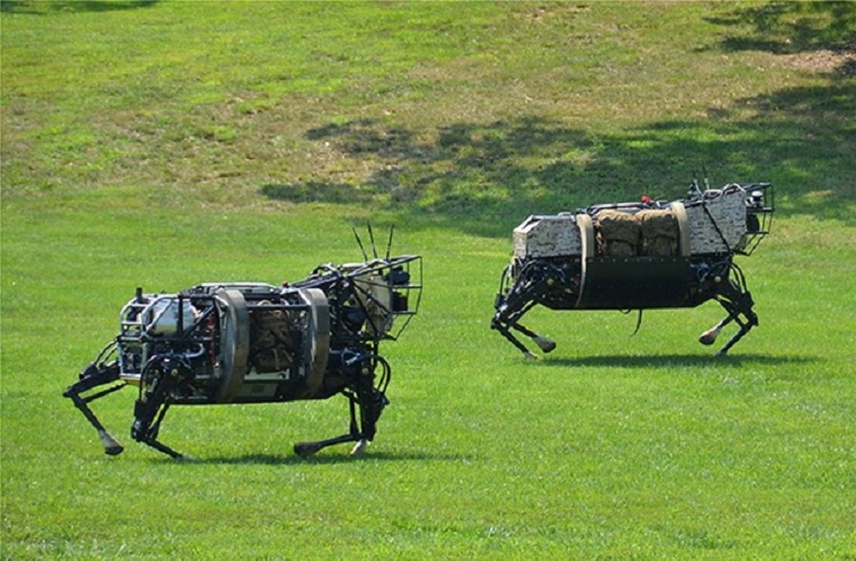 Robot LS3 cua DARPA My chu ngua may khong dau chien dau tai ba-Hinh-10