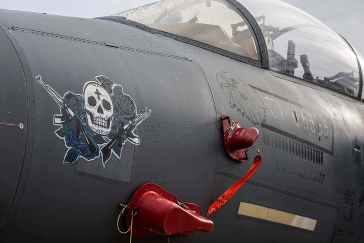 Khong quan Hoang gia Anh hoa trang cho tiem kich F-15E don Halloween cuc doc-Hinh-13