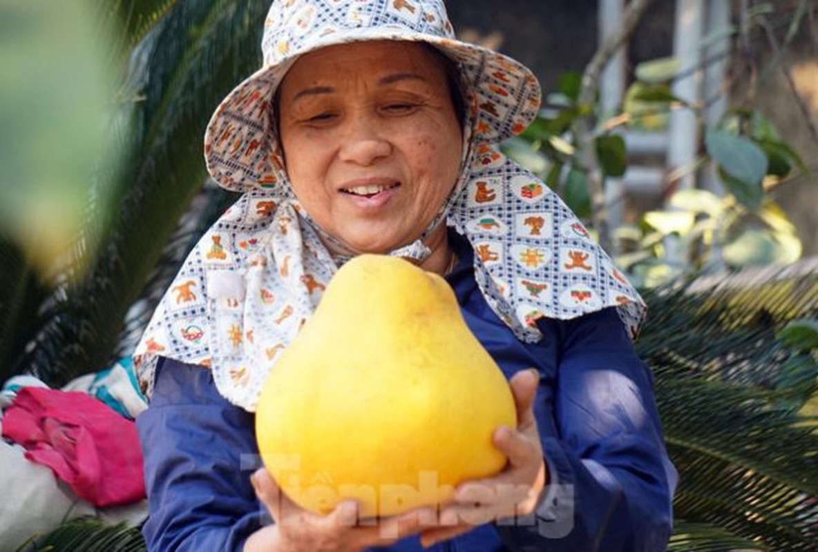 Buoi khong lo o Hai Phong chay hang ngay gan Tet