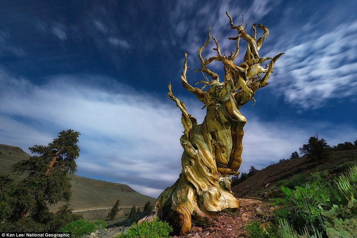 Nhung khung canh dieu ky trong bo anh cua National Geographic-Hinh-9