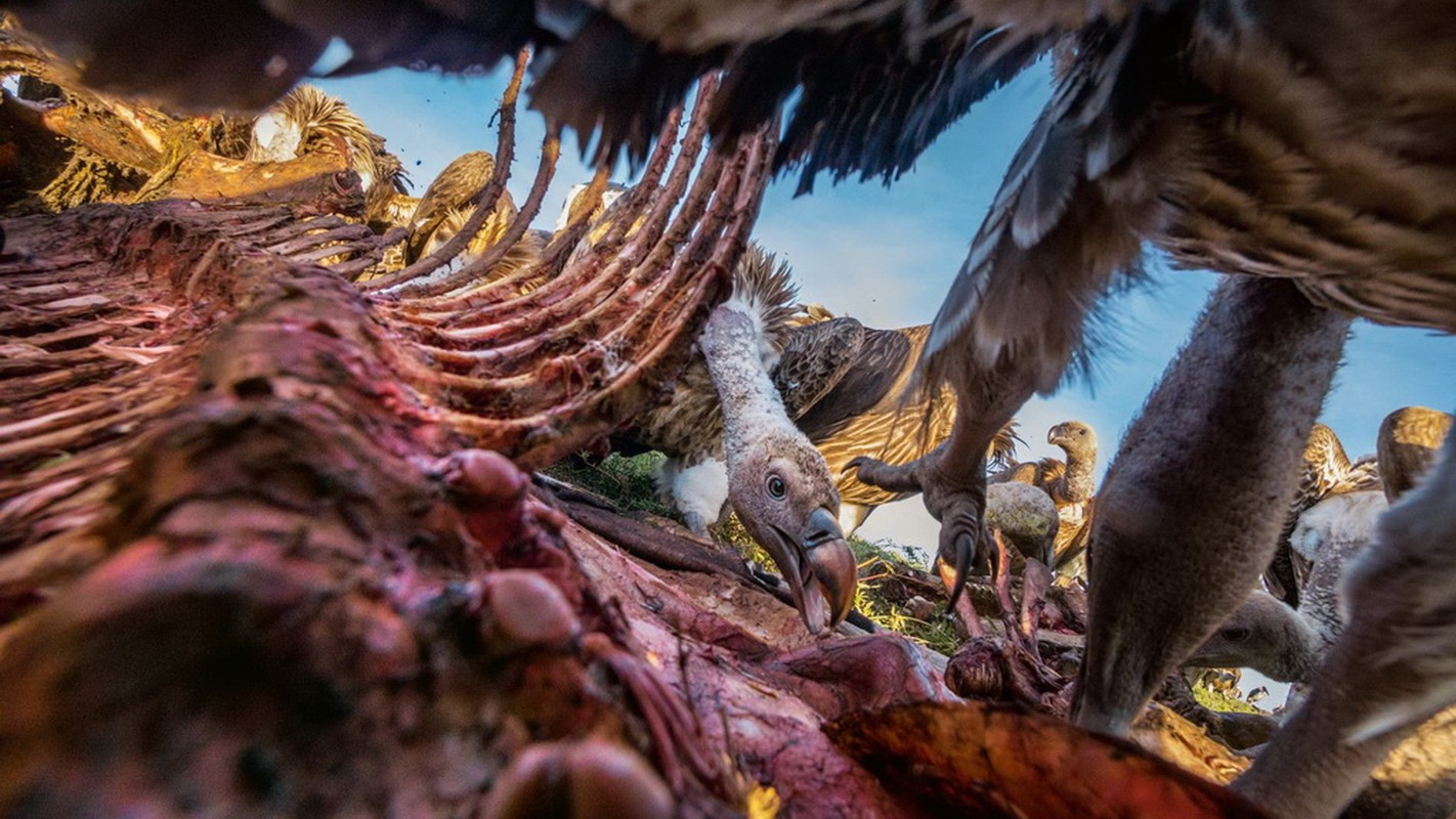 Anh thien nhien an tuong nhat nam 2016 cua National Geographic-Hinh-19