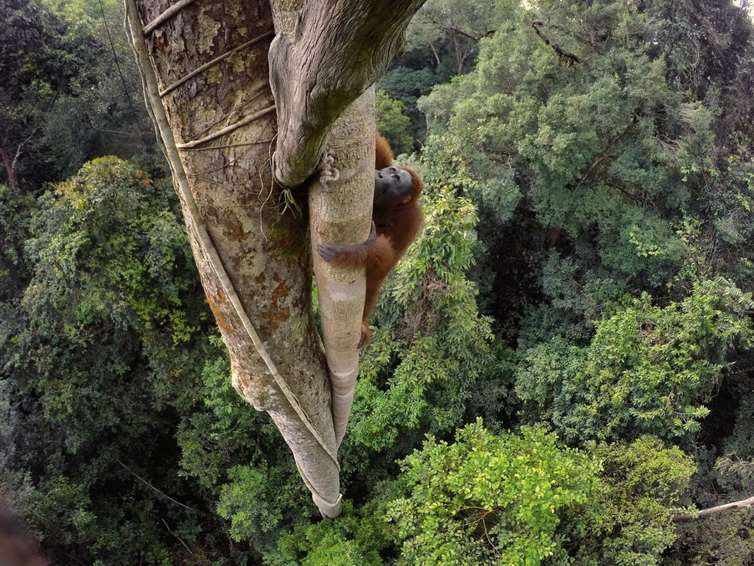 Anh thien nhien an tuong nhat nam 2016 cua National Geographic-Hinh-3