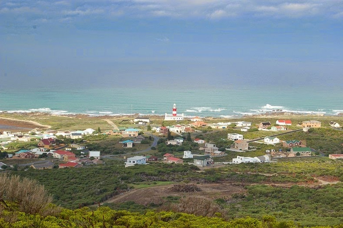 Cape Agulhas: Noi giao nhau giua hai dai duong-Hinh-5