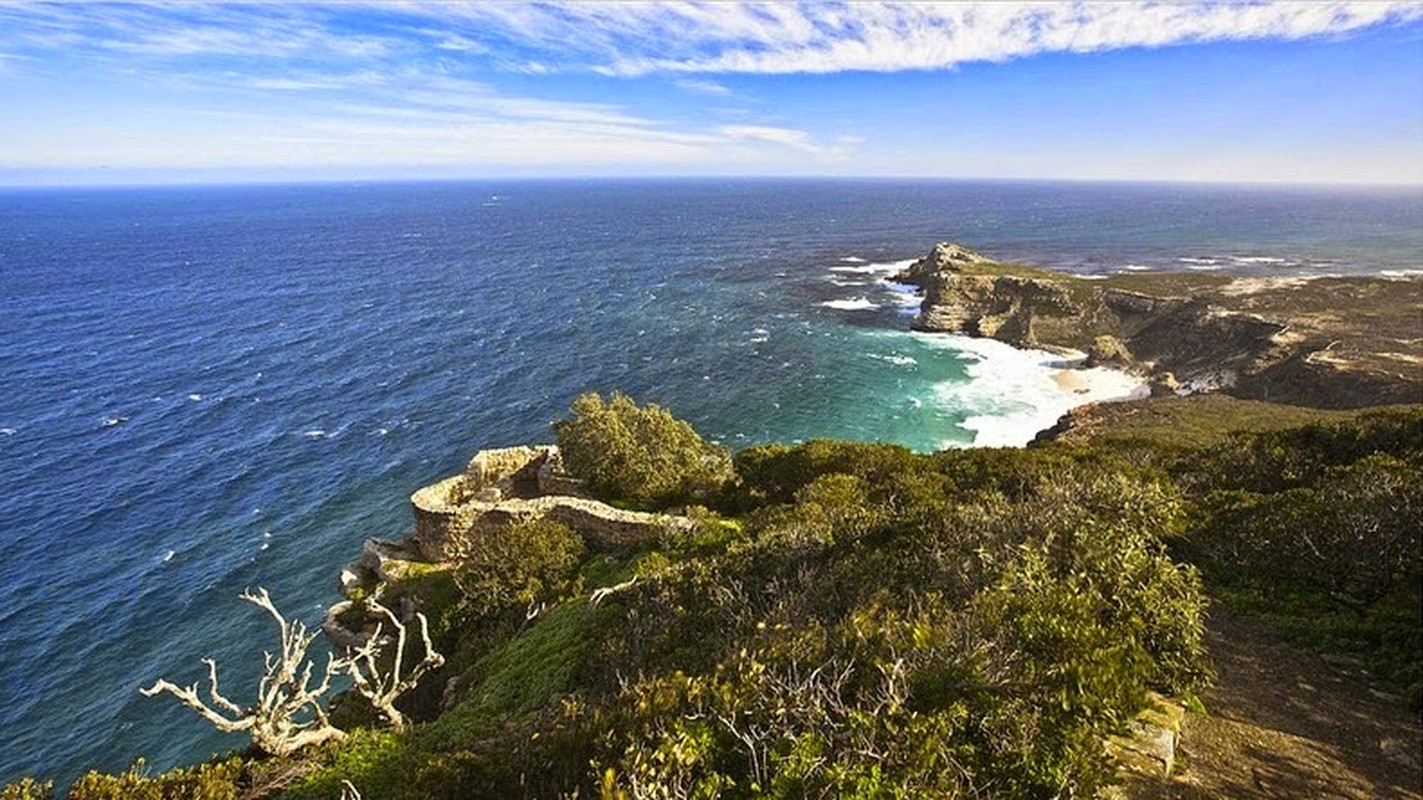 Cape Agulhas: Noi giao nhau giua hai dai duong-Hinh-6