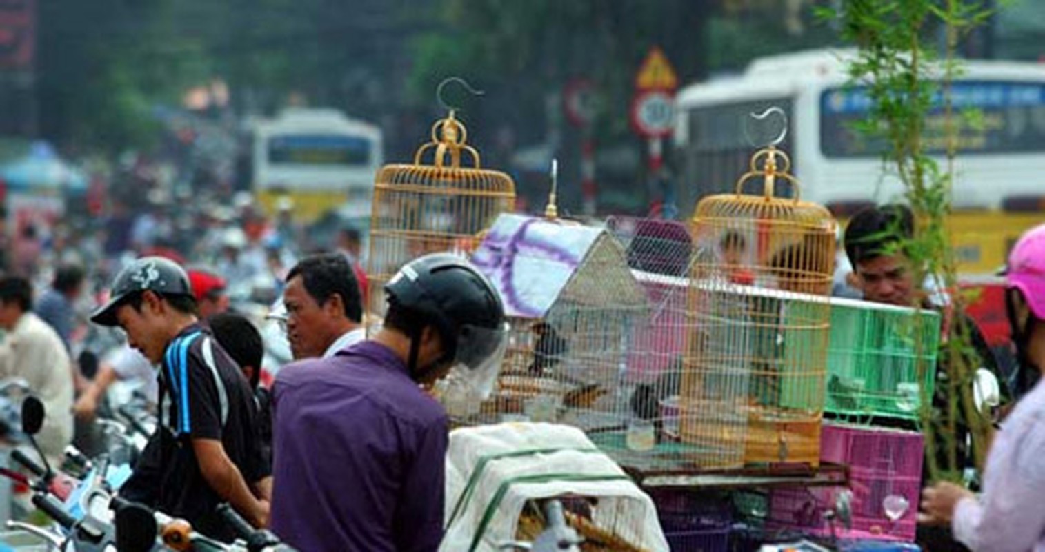 Nhech nhac cho chim trong du an tram ty do dang o Ha Noi-Hinh-5