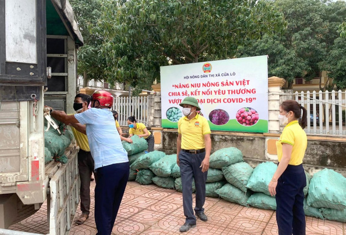 Loai cu giup nguoi Mong xoa ngheo mat gia, ban chang ai mua-Hinh-10