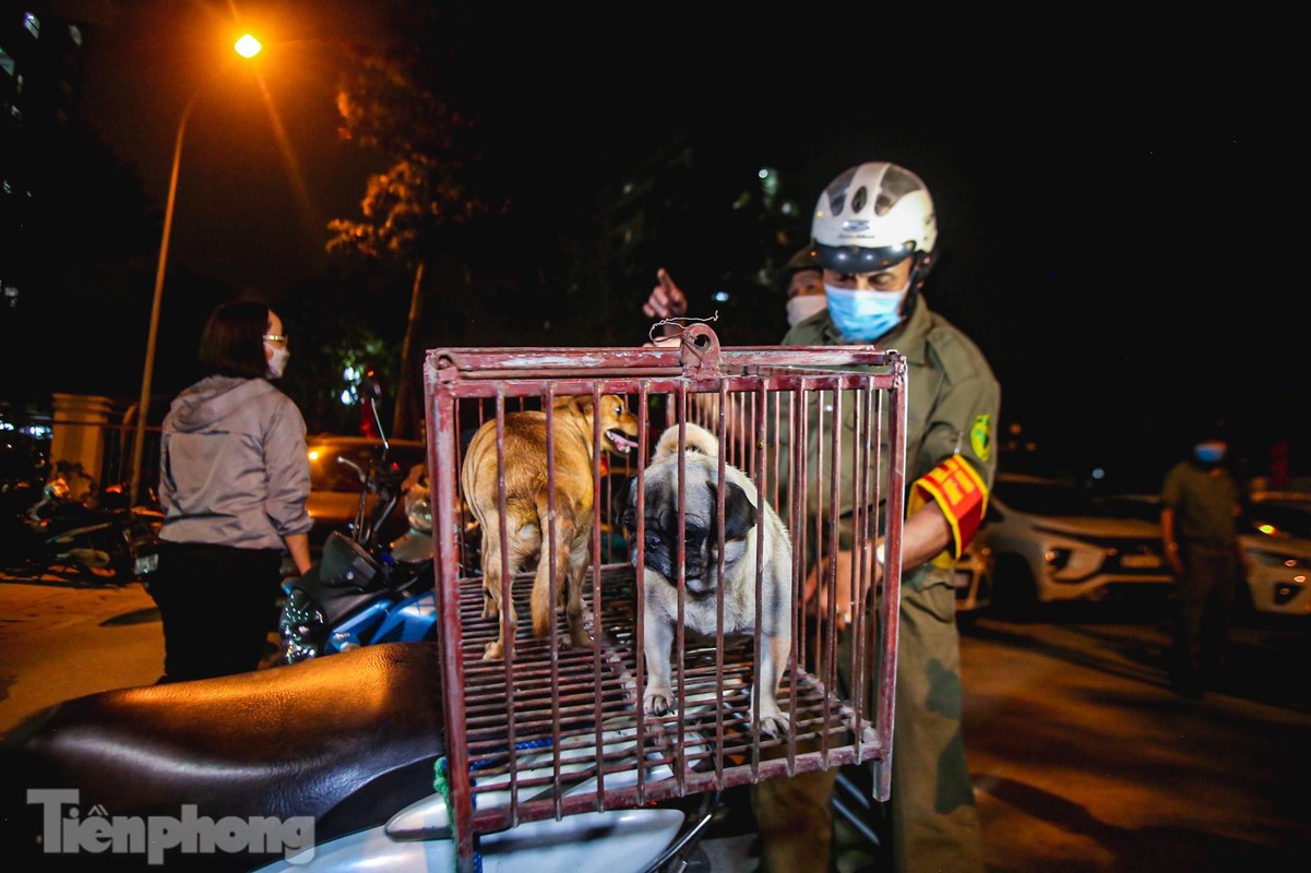 Can canh to doi bat cho tha rong o Ha Noi-Hinh-13