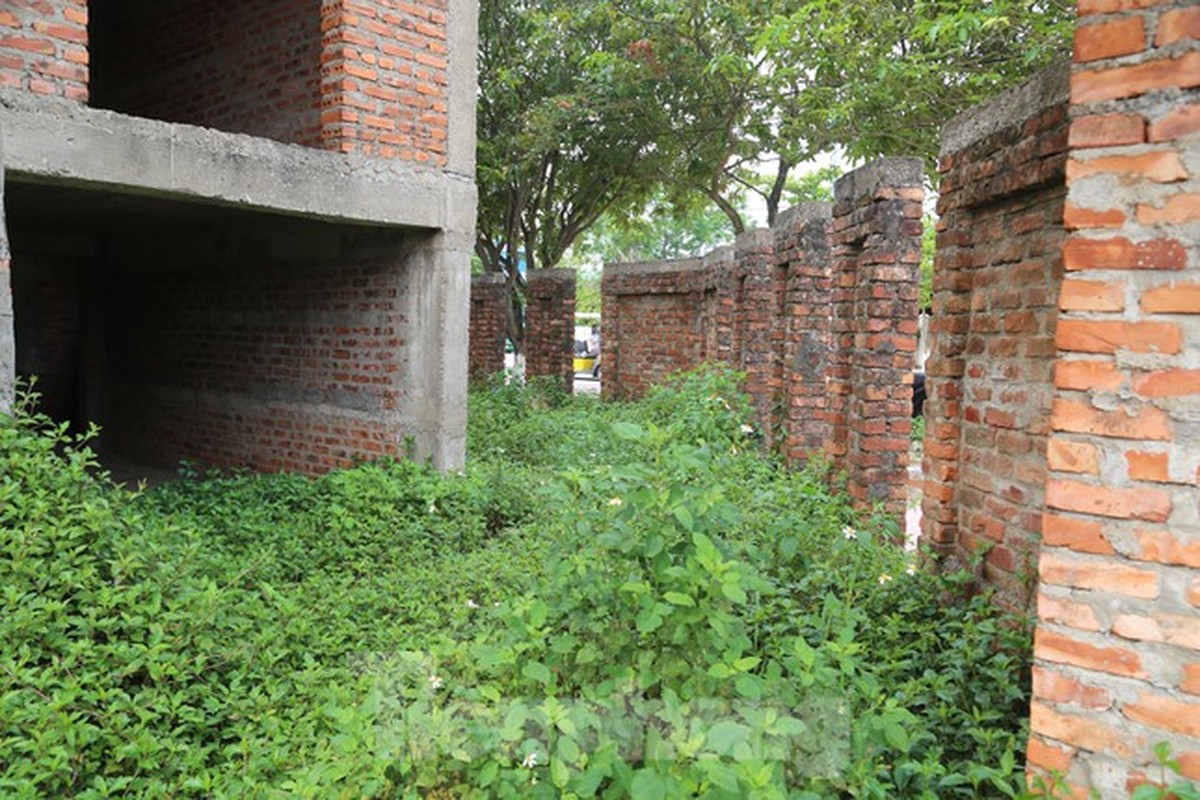 Hoang lanh khu 'biet thu ma' o pho bien Nghe An-Hinh-5