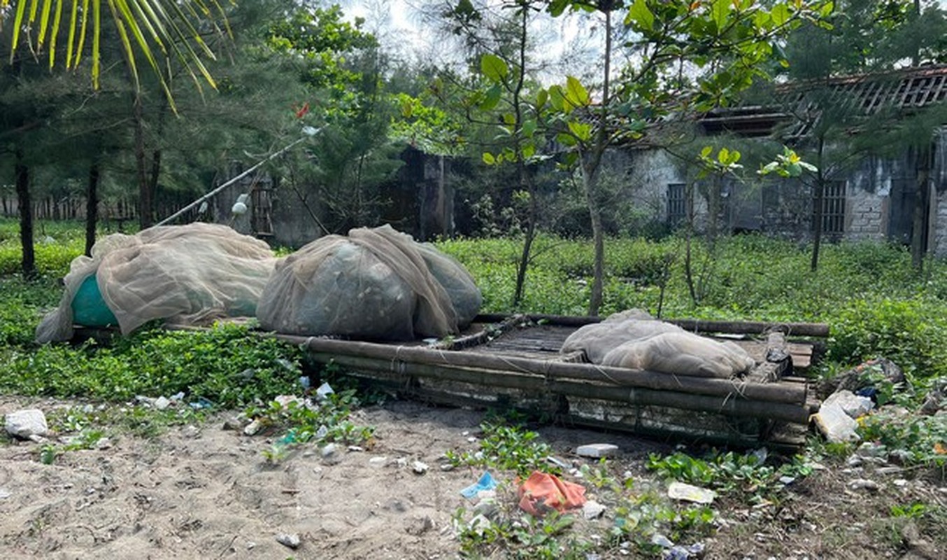 Ngon ngang ‘nghia dia’ be mang o bo bien Nghe An-Hinh-10