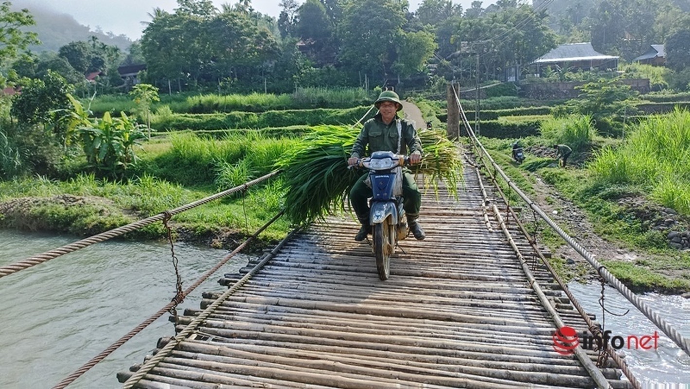 Nhung cay cau op ep chong chanh vat qua suoi chay xiet, lo ngai tai nan mua lu ve-Hinh-6