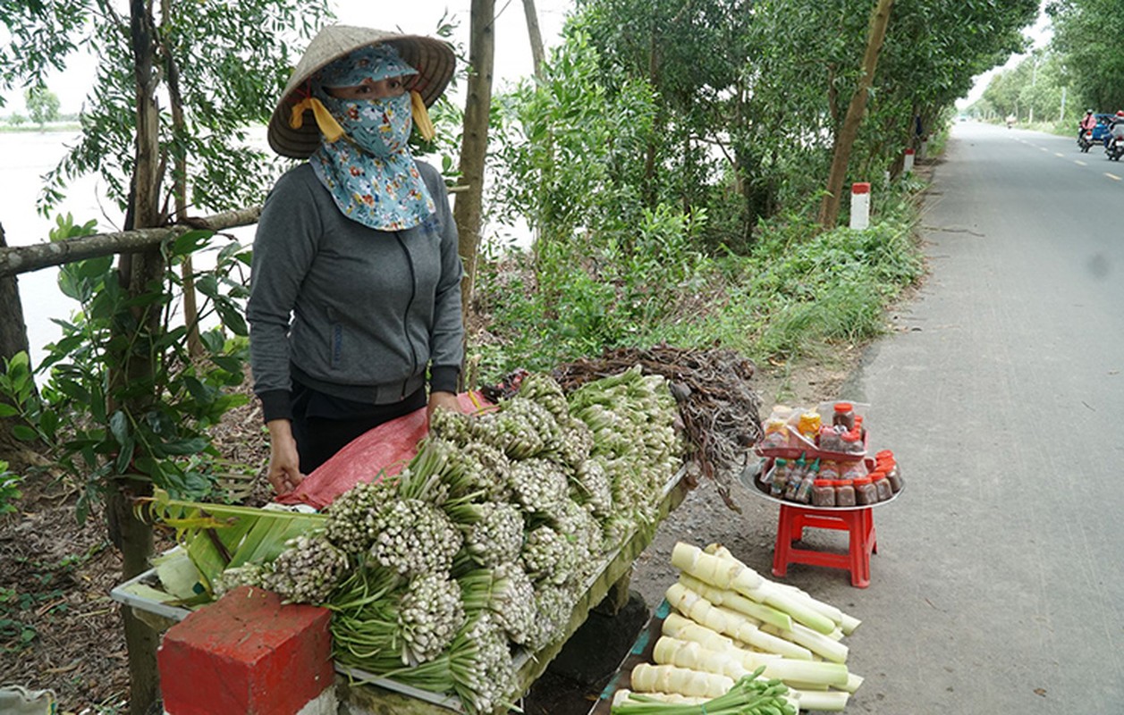 Co dai khong trong cung moc sum sue, dan nho ban kiem 600.000 dong/ngay-Hinh-4