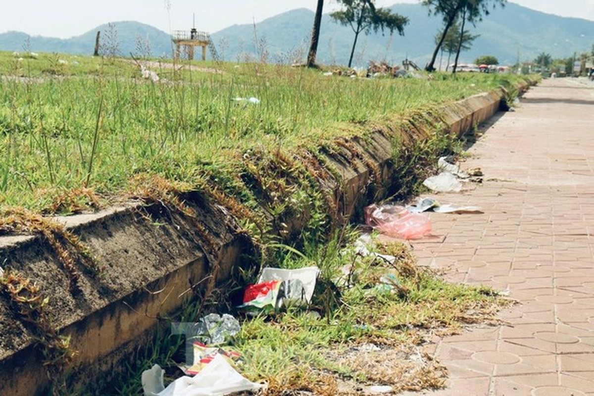 Rac ngon ngang tren bai bien Ha Tinh-Hinh-6