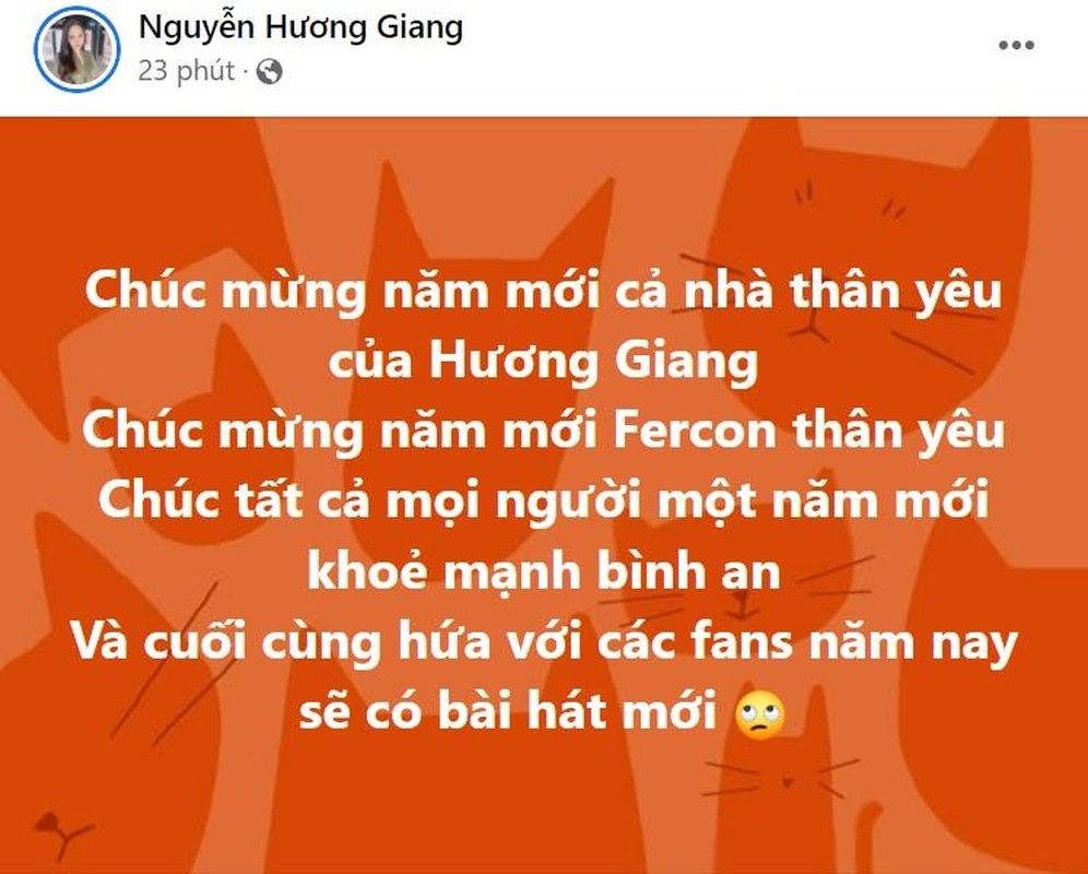 Sao Viet don giao thua: Ai cung han hoan tru Vo Ha Tram-Hinh-10